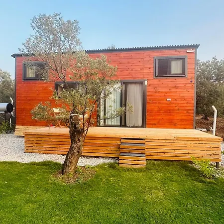 Hotel Elies Tiny Glamping *