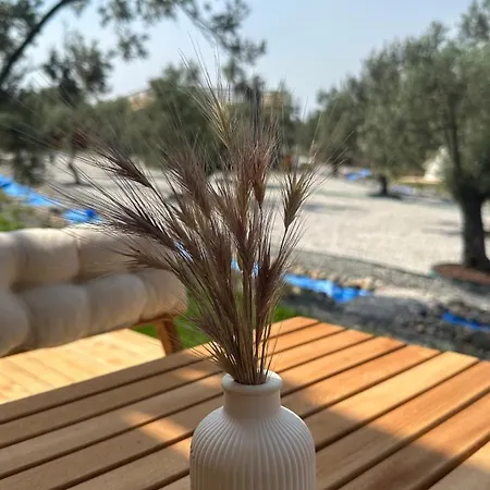 Elies Tiny Glamping Ayvalik