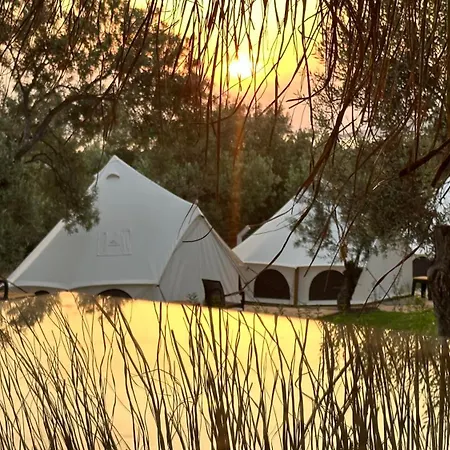 Elies Tiny Glamping Hotel